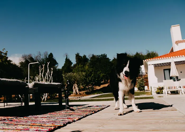 Cambeiros - Alenquer