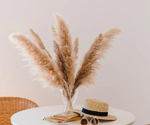 Cambeiros - Bed & Breakfast 4*