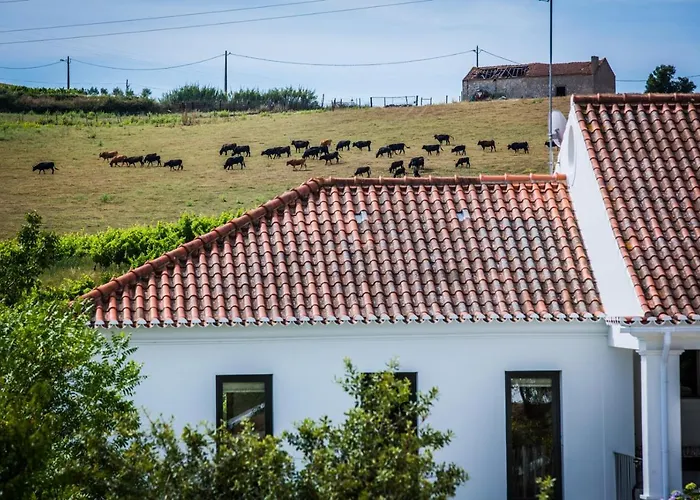 Cambeiros - Bed & Breakfast 4*